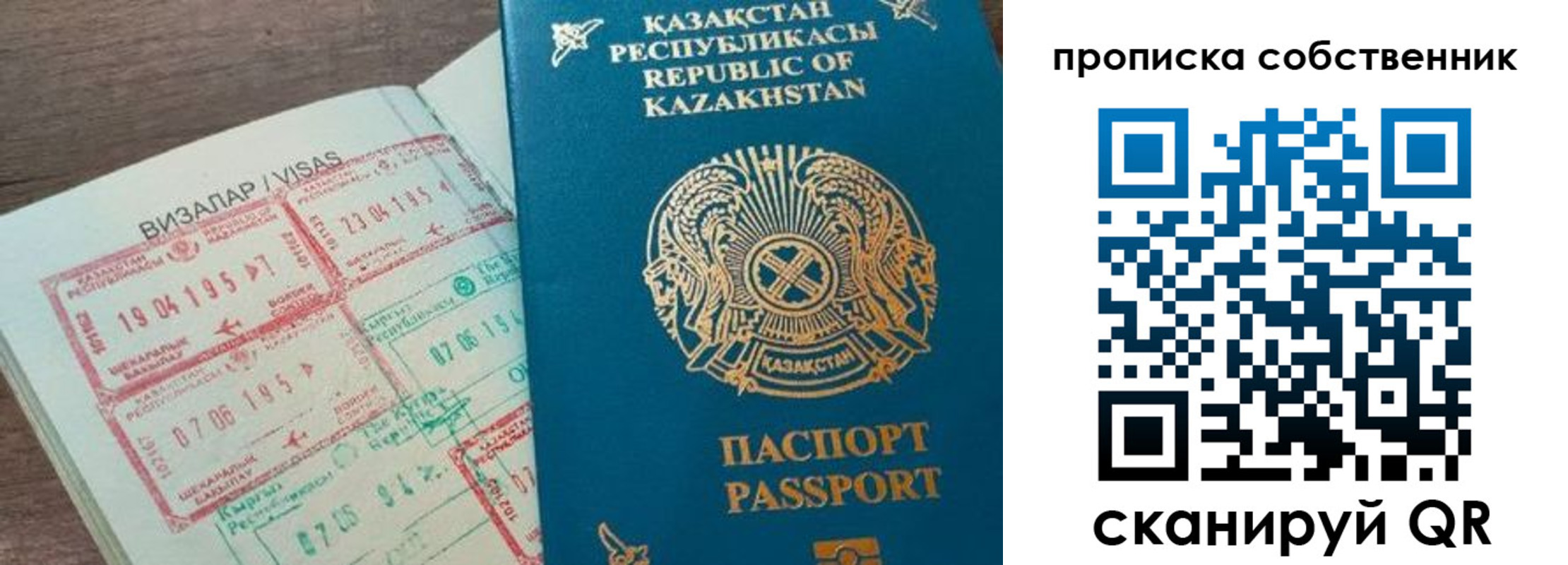 прописка гарантия в Химках